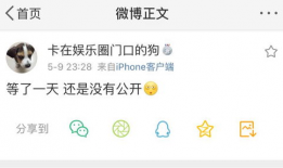 我爆料你吃瓜在线阅读,揭秘网络爆料的背后故事